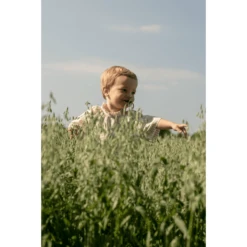 BIBS® Fopspeen Colour Bosbok/Hunter Green 0-6 Maanden, 2 Stuks. -Kleintje Luxe bibs fopspeen colour bosbok hunter green 0 6 maanden 2 stuks a394485 4