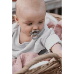 BIBS Fopspeen Colour Ivoor/Sage 0-6 Maanden, 2 Stuks. -Kleintje Luxe bibs fopspeen colour ivoor sage 0 6 maanden 2 stuks a320759 1