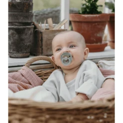 BIBS Fopspeen Colour Ivoor/Sage 6-18 Maanden, 4 St. 8 BIBS Fopspeen Colour Ivoor/Sage 6-18 Maanden, 4 St. -Kleintje Luxe bibs fopspeen colour ivoor sage 6 18 maanden 4 st a321077 3