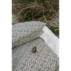 BIBS Fopspeen De Lux Vanille / Donkere Eik 0-36 Mnd, 2 St. -Kleintje Luxe bibs fopspeen de lux vanille donkere eik 0 36 mnd 2 st a320829 3