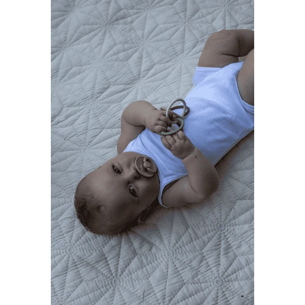 BIBS Soother Colour Blush / Bosmarmot 0-6 Maanden, 4 St. 2 BIBS Soother Colour Blush / Bosmarmot 0-6 Maanden, 4 St. - Afbeelding 2