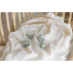 BIBS Soother Try-it Collectie Sage 0-6 Maanden, 4st. -Kleintje Luxe bibs soother try it collectie sage 0 6 maanden 4st a345888 3