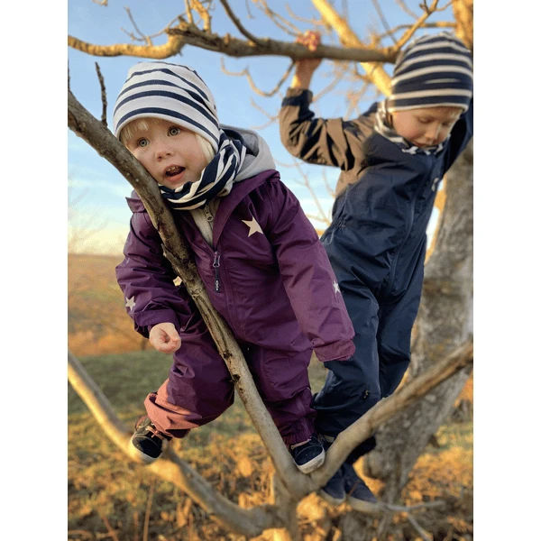 BMS Sneeuwpak Berry 2 BMS Sneeuwpak Berry - Afbeelding 2