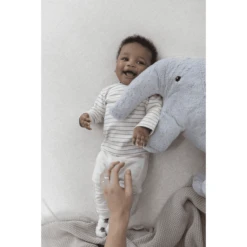 Feetje Gestreept Shirt Met Lange Mouwen Elephant Nature Melange -Kleintje Luxe feetje gestreept shirt met lange mouwen elephant nature melange a411456 2