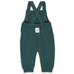 Feetje Korte Broek Familie Teal -Kleintje Luxe feetje korte broek familie teal a379490 4