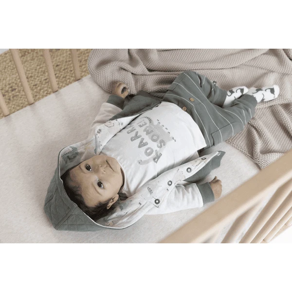 Feetje Omkeerbare Jas Cool-A-Saurus Leger 3 Feetje Omkeerbare Jas Cool-A-Saurus Leger - Afbeelding 3