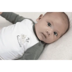 Feetje Shirt Met Lange Mouwen Cool-A-Saurus Natuur -Kleintje Luxe feetje shirt met lange mouwen cool a saurus natuur a416061 2