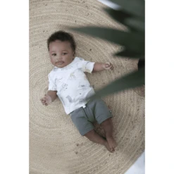 Feetje Shorts Cool-A-Saurus Leger -Kleintje Luxe feetje shorts cool a saurus leger a416279 3