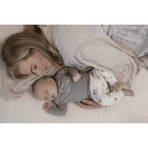 Feetje Slip-on Broek Elephant Nature Melange 3 Feetje Slip-on Broek Elephant Nature Melange - Afbeelding 3