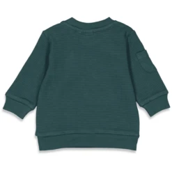 Feetje Sweatshirt Familie Teal -Kleintje Luxe feetje sweatshirt familie teal a379493 4