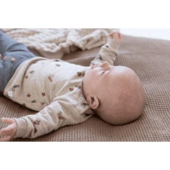 Feetje Sweatshirt Nuts About You Taupe Melange 7 Feetje Sweatshirt Nuts About You Taupe Melange -Kleintje Luxe feetje sweatshirt nuts about you taupe melange a382819 2