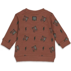 Feetje Sweatshirt Wild Thing Bruin -Kleintje Luxe feetje sweatshirt wild thing bruin a317393 4