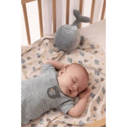 Feetje T-shirt Gestreept Piepklein Piraatje Mint -Kleintje Luxe feetje t shirt gestreept piepklein piraatje mint a348252 2