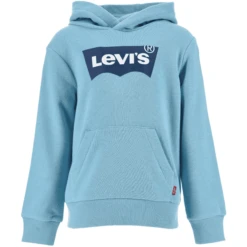 Levis Levi's® Kids Jongens Hoodie Aqua