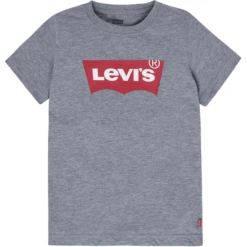 Levis Levi's® Kids Jongens T-shirt Grijs