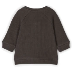 Lil'Atelier Longsleeve Shirt NBMINGOLF Raven 9 Lil'Atelier Longsleeve Shirt NBMINGOLF Raven -Kleintje Luxe lilatelier longsleeve shirt nbmingolf raven a308601 4