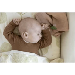 Lullaby Planet Latex Speen Rond 2-pack Maat 2 Forest Green & Flint Stone -Kleintje Luxe lullaby planet latex speen rond 2 pack maat 2 forest green amp flint stone a353836 1