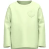 Name It Shirt Met Lange Mouwen Nmfdorthe Lime Cream