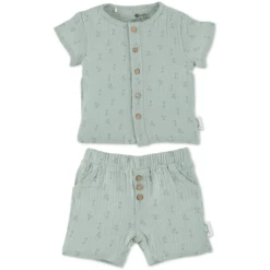 Sterntaler Set Shirt+short Palmboom Medium Groen